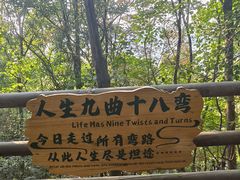 -天目湖山水园