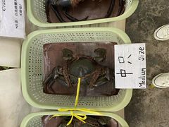 -龙海鲜螃蟹王(宏茂桥店)