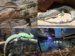 -正佳雨林生态植物园
