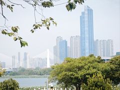 -古琴台
