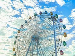 -飞来湖湿地公园