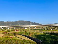 -光明小镇欢乐田园