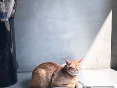 -Again Coffee Roaster(香蜜湖店)