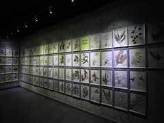 -广东中医药博物馆