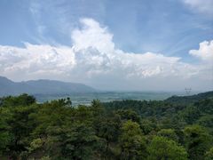 -南丹山森林王国