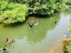 -长白岛森林公园