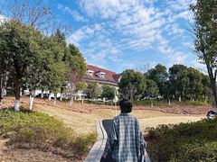 -九龙湖公园