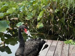 -昆山城市生态森林公园