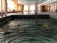 -上海柏悦酒店