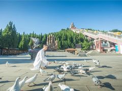 -龙口南山旅游景区