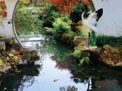 -上海醉白池公园