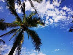 -白沙门生态公园