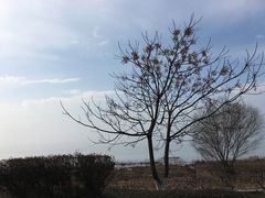 -东山风景区(洞庭东山)