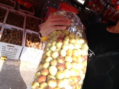 -双福水果批发市场