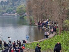-重庆彩云湖湿地公园