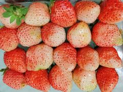 -浦东食品城(华诚大厦店)