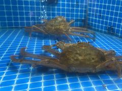-贡宴盐帮菜自贡驻京联络处餐厅
