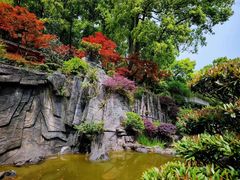 -南山植物园
