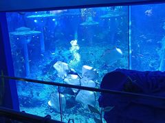 -广州海洋馆