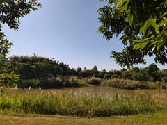 -福田红树林生态公园