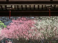 -苏州上方山国家森林公园