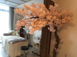 -至臻康妍健康管理中心