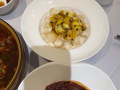-沈大成(南京东路店)