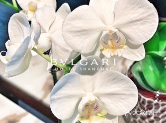 上海宝格丽酒店 Bvlgari Shanghai