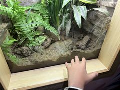 -广州长隆飞鸟乐园