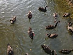 -长白岛森林公园