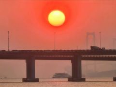 -宝安西湾红树林湿地公园