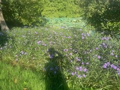 -白塘生态植物园