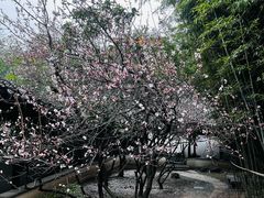 -江宁织造博物馆