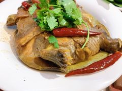 -肚子铺羊蝎子火锅