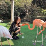 愉快的野生动物园之行[调皮]