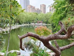 -天鹅湖体育公园