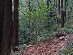 -广州市白云山风景名胜区
