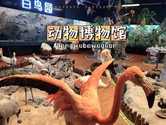 -昆明动物博物馆