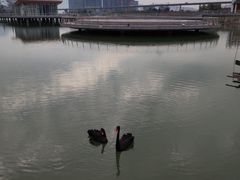 -琅岐红光湖公园