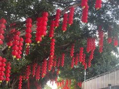 -人民公园(罗湖区)