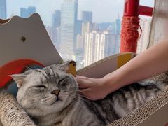 -Catmate·猫肥家润(金润铂宫店)