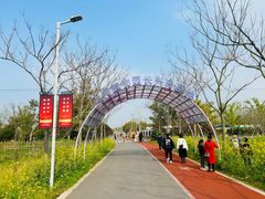 -上海长兴岛郊野公园