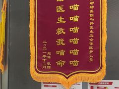 -中农国际动物医院24小时·猫科·骨科·急重症中心