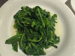 酒香豆苗-玫瑰厅上海菜(兴国路店)