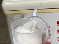 -洪馨椰子