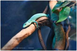 -Zoolung Zoolung动物主题公园(海信广场店)