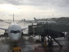 -翡翠拉面小笼包(机场DFS店)