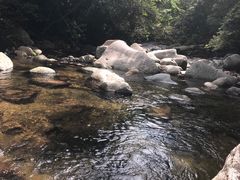 -满記土窑烧鷄波浪山莊