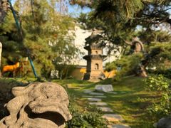 -龙华素斋(龙华路店)