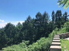 -白草畔自然风景区